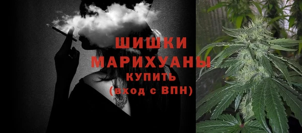 тгк Бронницы