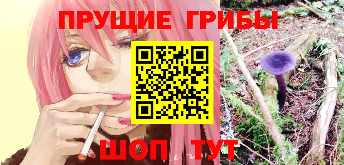 Галлюциногенные грибы мухоморы Маркс