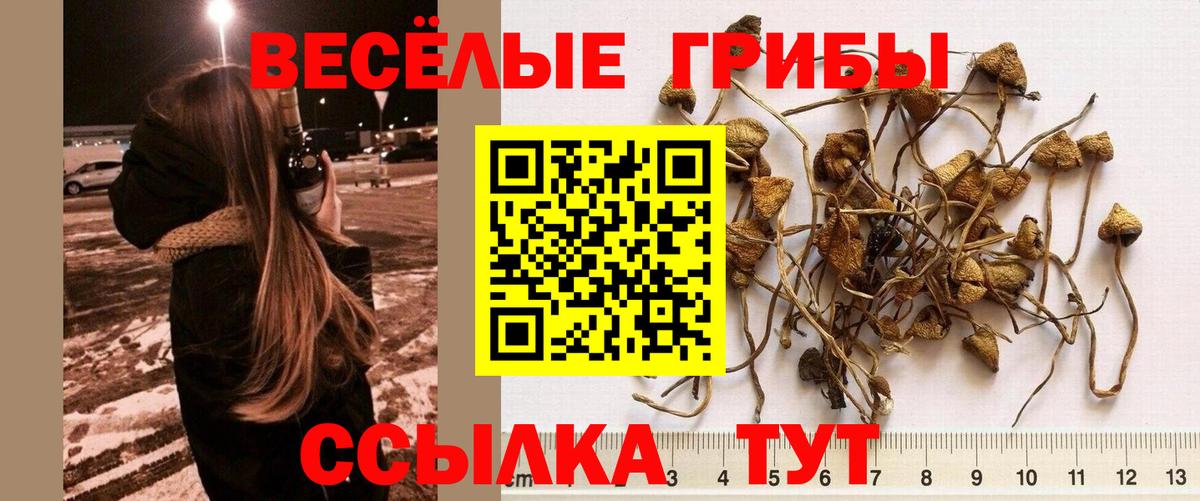 Псилоцибиновые грибы Magic Shrooms  Вход с VPN  Маркс 