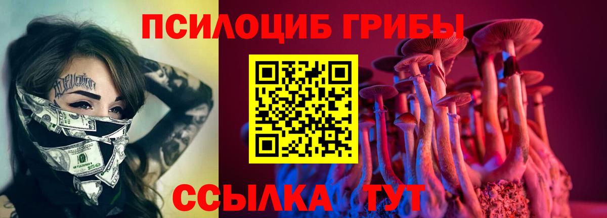 Галлюциногенные грибы Magic Shrooms  Маркс 