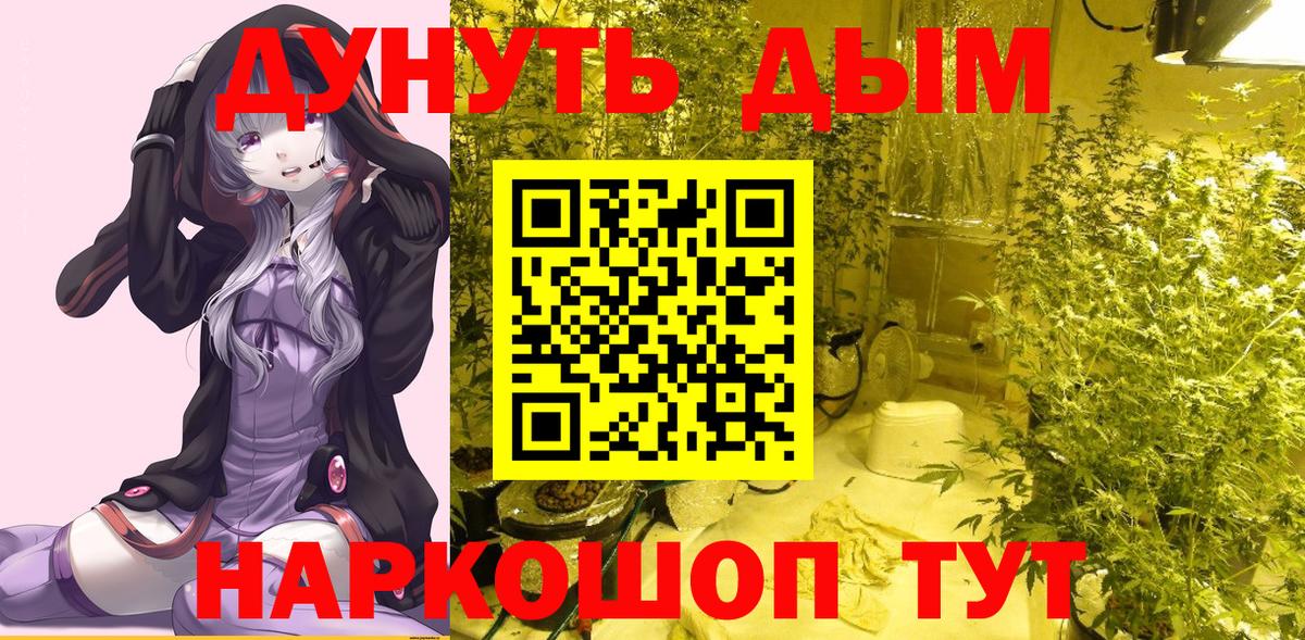 Бошки Шишки SATIVA & INDICA  Каннабис тримм  Марихуана семена  Маркс  Вход с VPN  Конопля сатива 