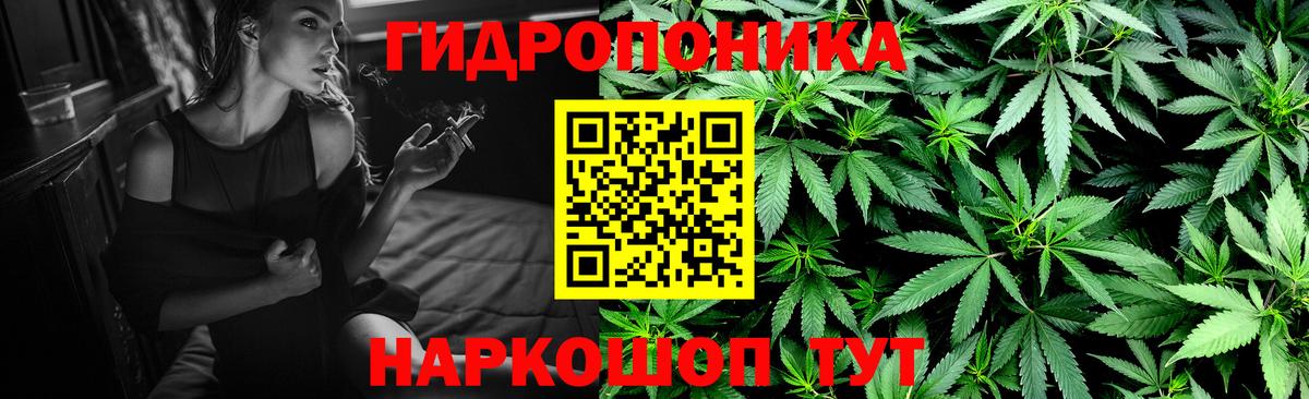 Бошки марихуана тримм  Марихуана Bruce Banner  Маркс  Каннабис планчик 